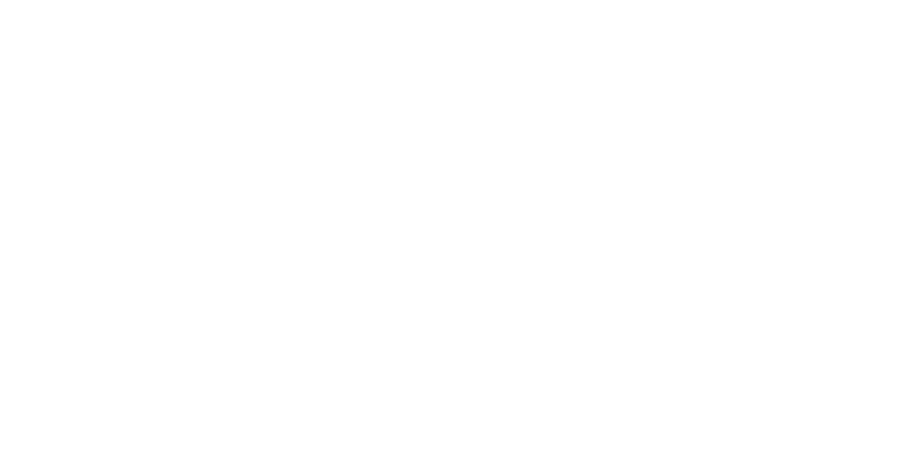 Ethos Shoes